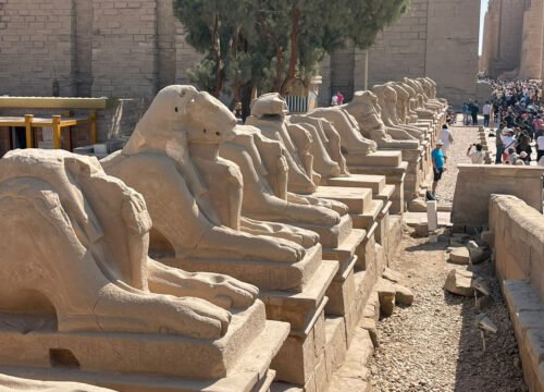 How to Enjoy Luxor’s Vibrant Culture and Traditions