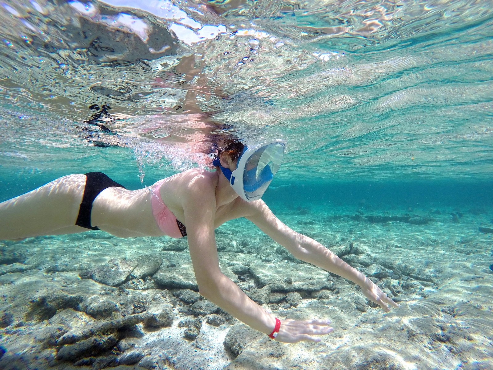 Wycieczka Snorkelingowa na Wyspę Orange Bay